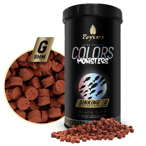 Ilustração Produto Colors